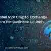 White-Label P2P Crypto Exchange Software for Business Launch