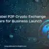 White-Label P2P Crypto Exchange Software for Business Launch