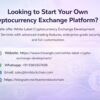 Launch Your Own Crypto Exchange with a Trusted White Label Solution