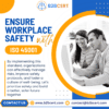 ISO 45001 Consultants in Los Angeles