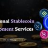 Professional Stablecoin Development Services