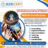 REACH Consultants Services in New York