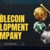End-to-End Stablecoin Development for Web3 and Fintech Innovation