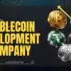 End-to-End Stablecoin Development for Web3 and Fintech Innovation