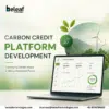 Can a Carbon Credit Platform Accelerate Your Net-Zero Strategy?