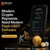 Modern Crypto Payments Need Modern Flash USDT Software