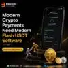 Modern Crypto Payments Need Modern Flash USDT Software