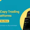 Next-Gen Copy Trading Platform Development for Digital Assets